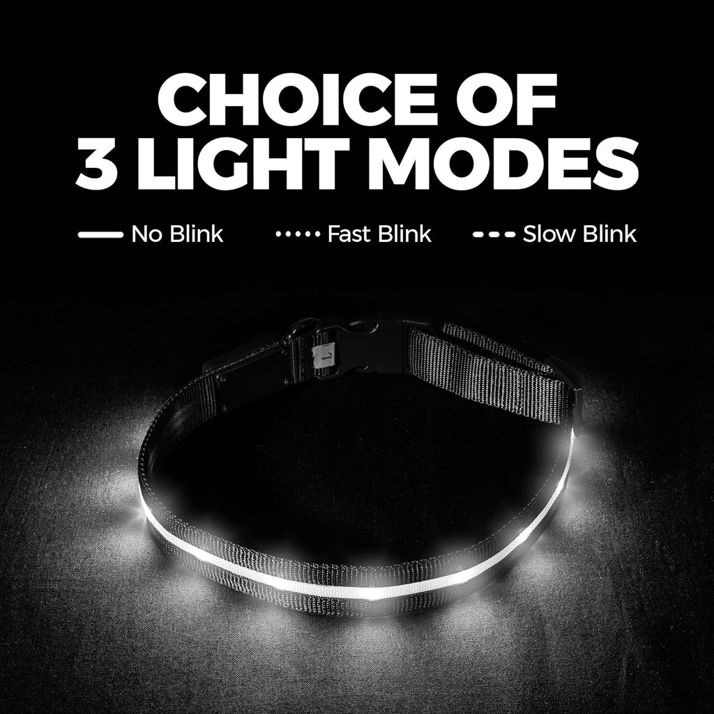 Light up Dog Collar - the Original LED Dog Collar - USB Rechargeable - Waterproof - 1,000 Feet of Visibility - Dog Collar Light for Small, Medium, Large Dogs - USA Brand